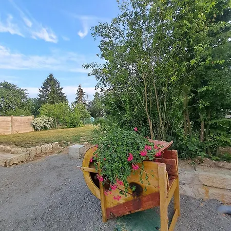 Appartamento Charming Quiet With Parking Sourdon